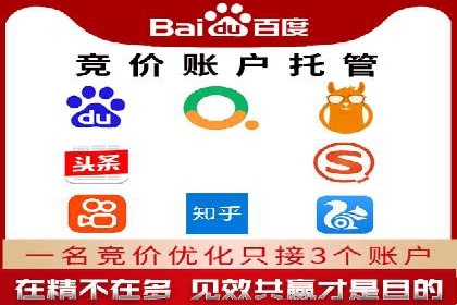 SEM代理服务：助力企业精准营销案例解析